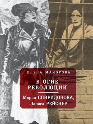cover image of В огне революции